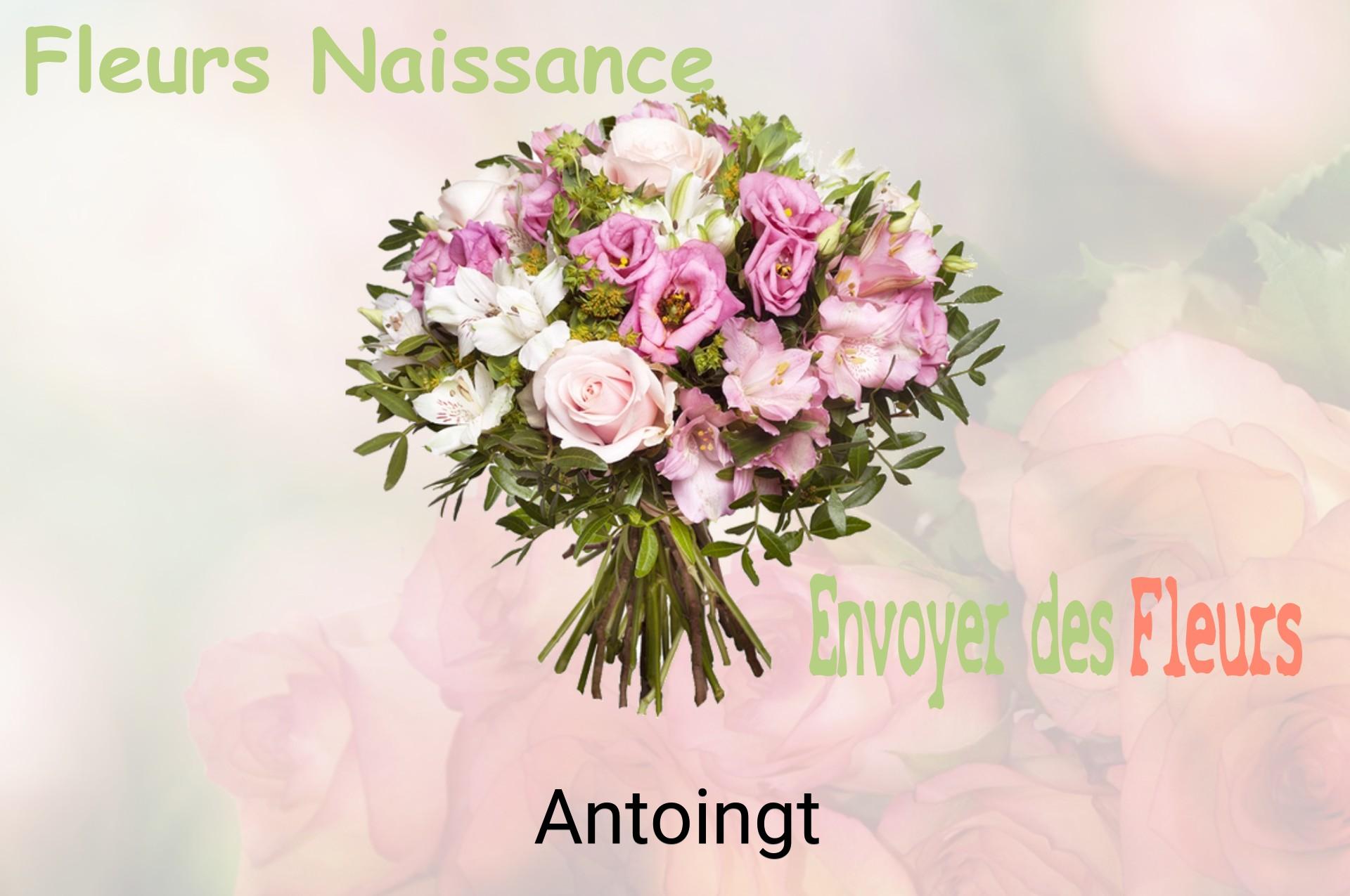 Bouquet de fleurs de naissance livré à Antoingt